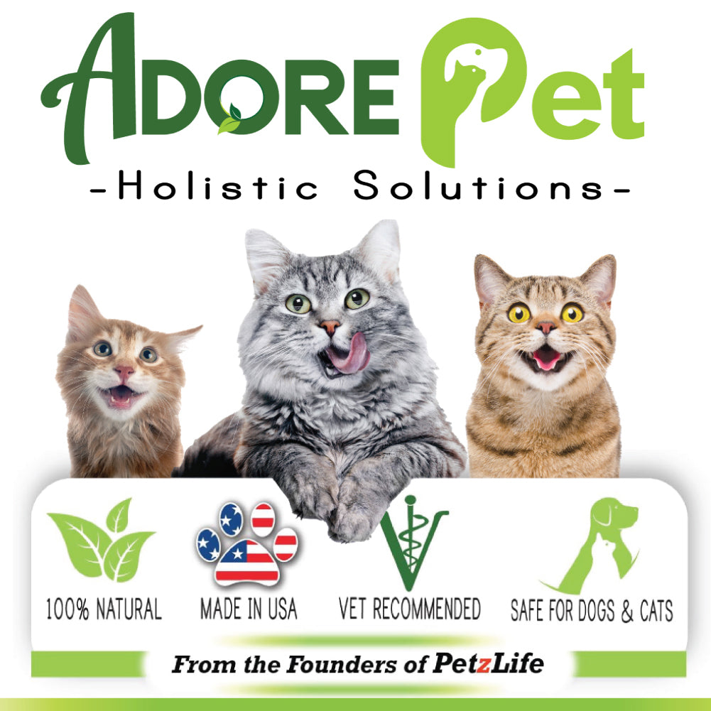 Feline Oral Care Gel