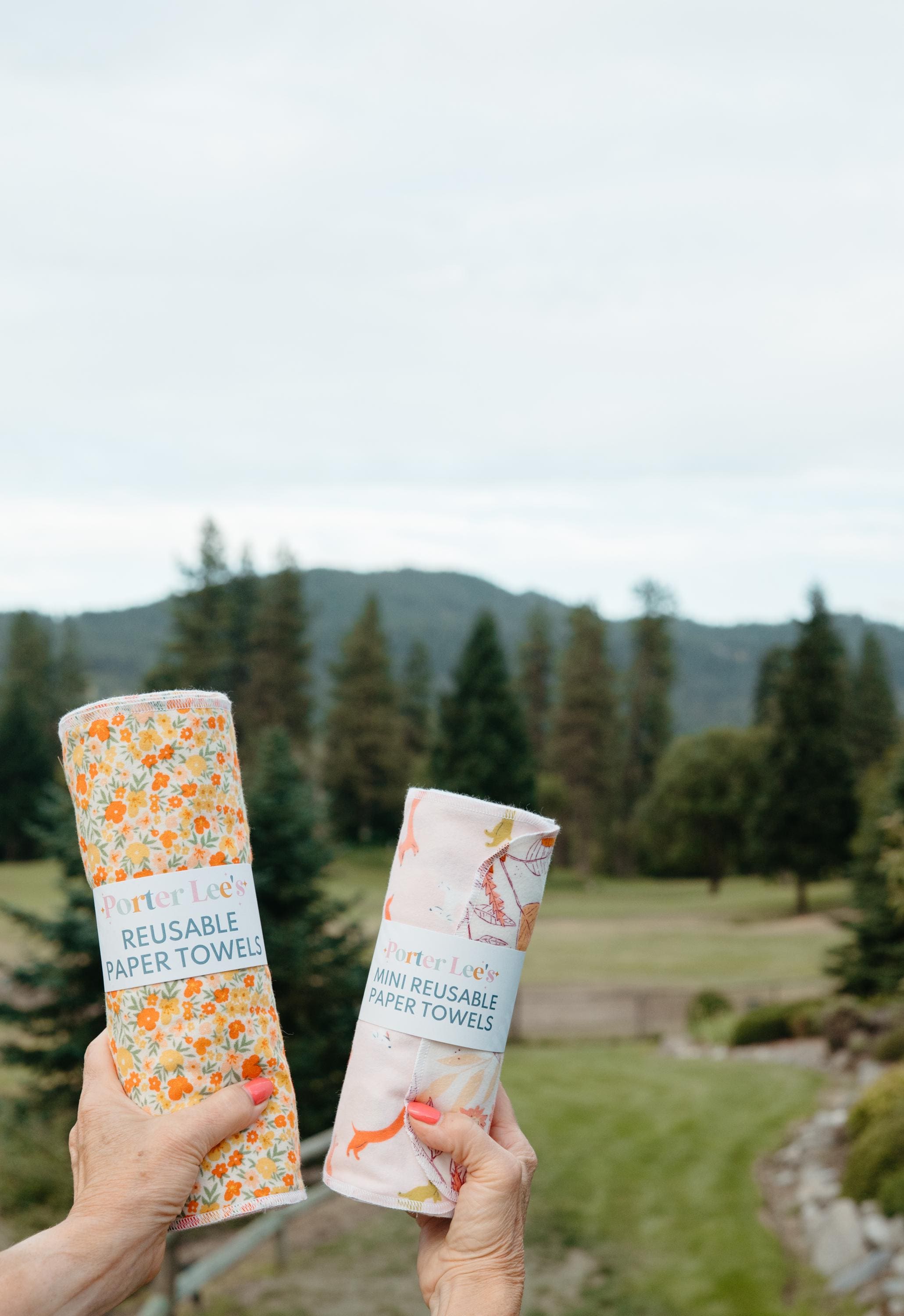 Reusable Paper Towels--Moonlit Guardian Sky